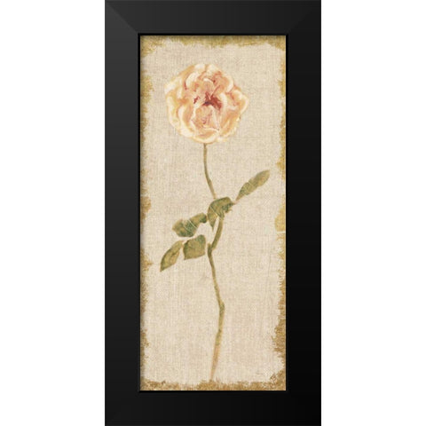 Pale Rose Panel on White Vintage v2 Black Modern Wood Framed Art Print by Blum, Cheri