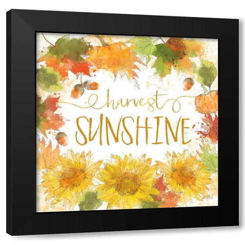Harvest Splash III Black Modern Wood Framed Art Print with Double Matting by Pertiet, Katie