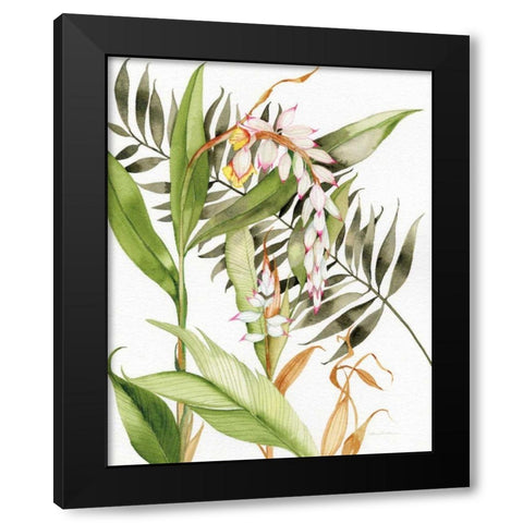 Botanical Shell Ginger Crop Black Modern Wood Framed Art Print by McKenna, Kathleen Parr