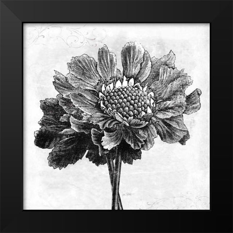 Spa Botanical I BW Black Modern Wood Framed Art Print by Pertiet, Katie