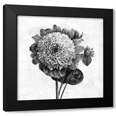 Spa Botanical II BW Black Modern Wood Framed Art Print with Double Matting by Pertiet, Katie