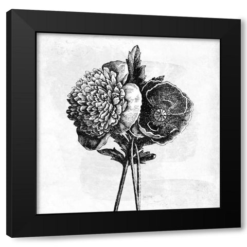 Spa Botanical III BW Black Modern Wood Framed Art Print with Double Matting by Pertiet, Katie