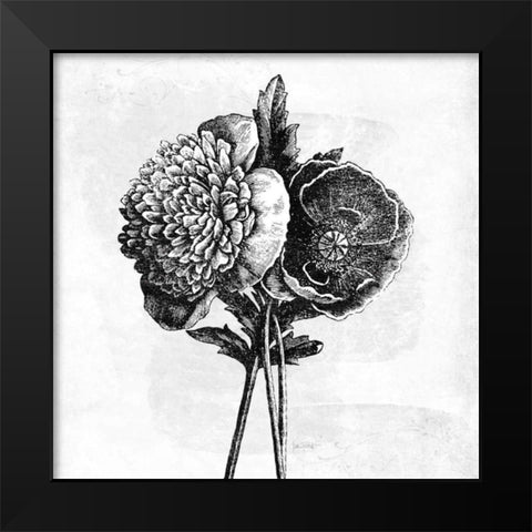 Spa Botanical III BW Black Modern Wood Framed Art Print by Pertiet, Katie