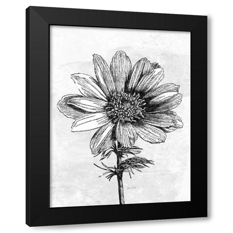 Spa Botanical IV BW Crop Black Modern Wood Framed Art Print with Double Matting by Pertiet, Katie