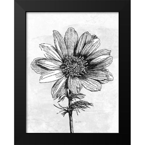 Spa Botanical IV BW Crop Black Modern Wood Framed Art Print by Pertiet, Katie