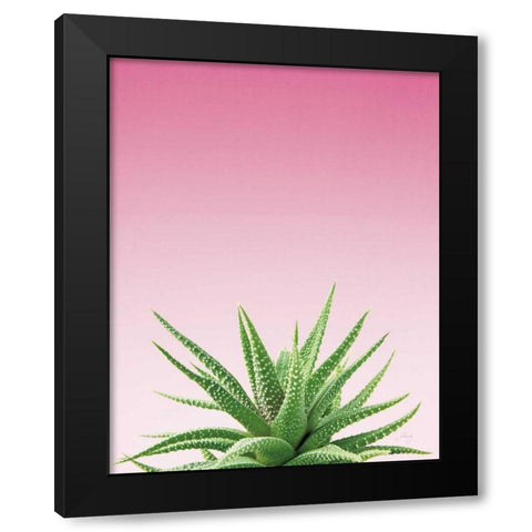 Succulent Simplicity I Pink Ombre Crop Black Modern Wood Framed Art Print with Double Matting by Bradley, Felicity