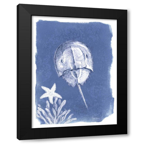 Coastal Sea Life VI Black Modern Wood Framed Art Print by Grove, Beth