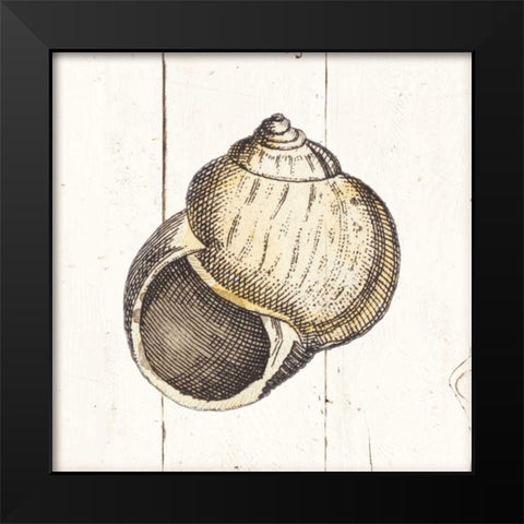 Shell Sketches II Shiplap Black Modern Wood Framed Art Print by Wild Apple Portfolio