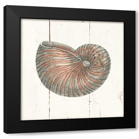 Shell Sketches III Shiplap Black Modern Wood Framed Art Print with Double Matting by Wild Apple Portfolio