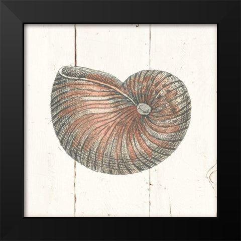 Shell Sketches III Shiplap Black Modern Wood Framed Art Print by Wild Apple Portfolio