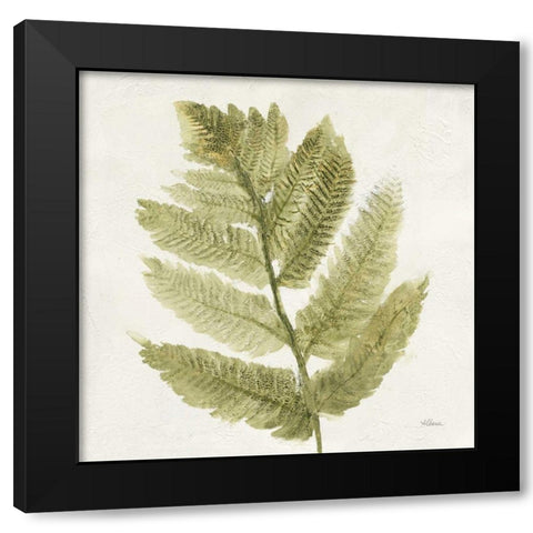 Forest Ferns I Black Modern Wood Framed Art Print with Double Matting by Hristova, Albena