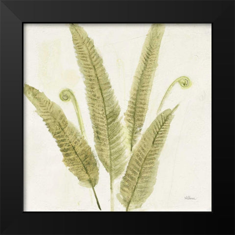Forest Ferns II Black Modern Wood Framed Art Print by Hristova, Albena