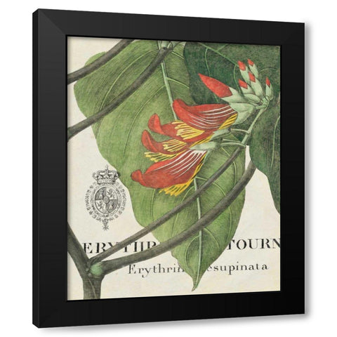 Botanique Tropicale I Black Modern Wood Framed Art Print by Wild Apple Portfolio