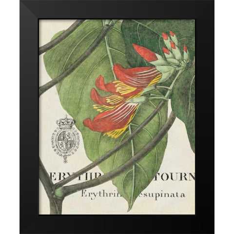 Botanique Tropicale I Black Modern Wood Framed Art Print by Wild Apple Portfolio