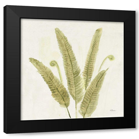 Forest Ferns II v2 Black Modern Wood Framed Art Print by Hristova, Albena