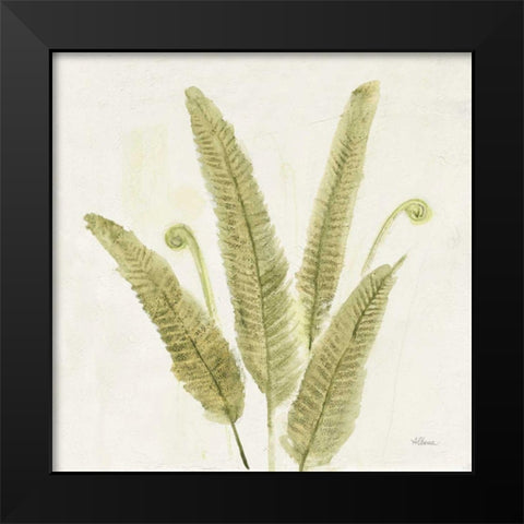 Forest Ferns II v2 Black Modern Wood Framed Art Print by Hristova, Albena