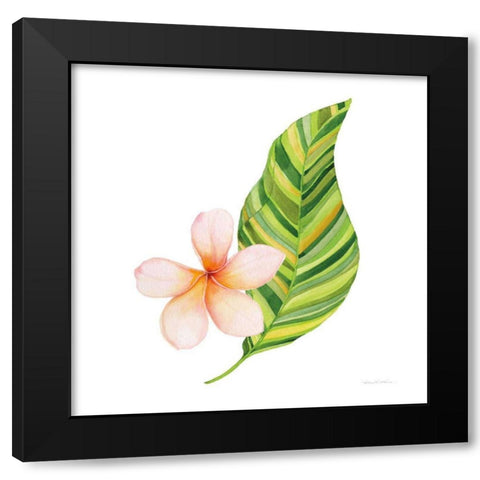 Treasures of the Tropics X Black Modern Wood Framed Art Print by McKenna, Kathleen Parr