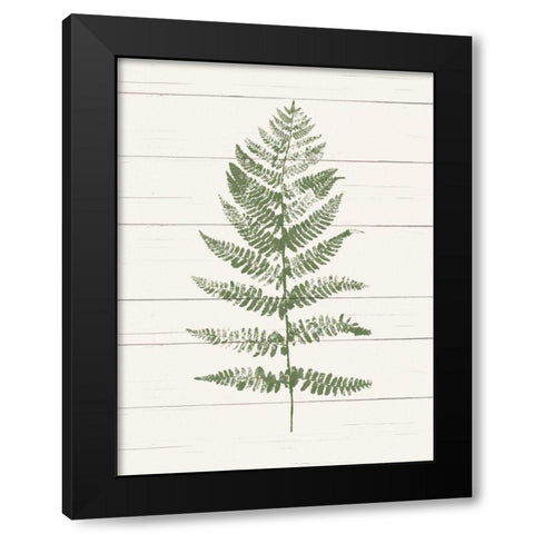 Fern Print II Black Modern Wood Framed Art Print by Hershey, Moira