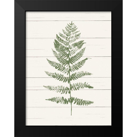 Fern Print II Black Modern Wood Framed Art Print by Hershey, Moira