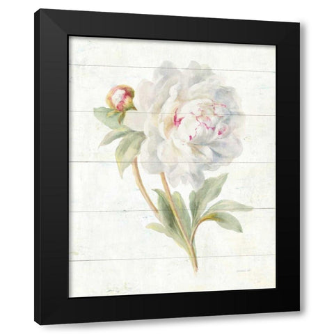 June Blooms II Black Modern Wood Framed Art Print with Double Matting by Nai, Danhui