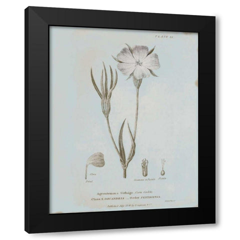 Conversations on Botany III Blue Black Modern Wood Framed Art Print by Wild Apple Portfolio
