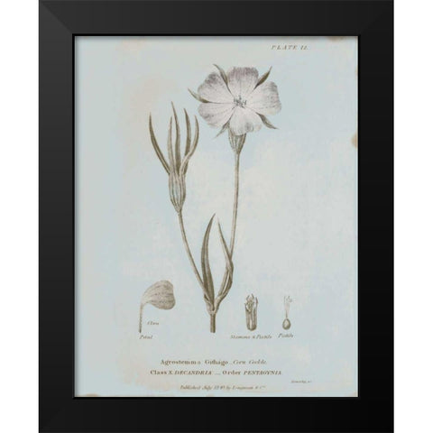 Conversations on Botany III Blue Black Modern Wood Framed Art Print by Wild Apple Portfolio