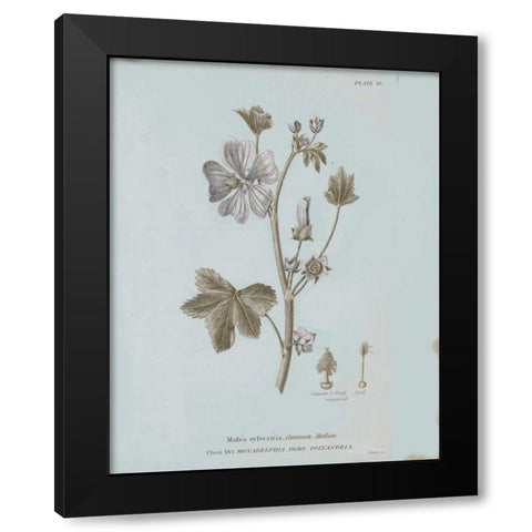Conversations on Botany VII Blue Black Modern Wood Framed Art Print with Double Matting by Wild Apple Portfolio