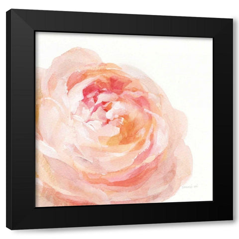 Garden Rose on White Crop Black Modern Wood Framed Art Print with Double Matting by Nai, Danhui