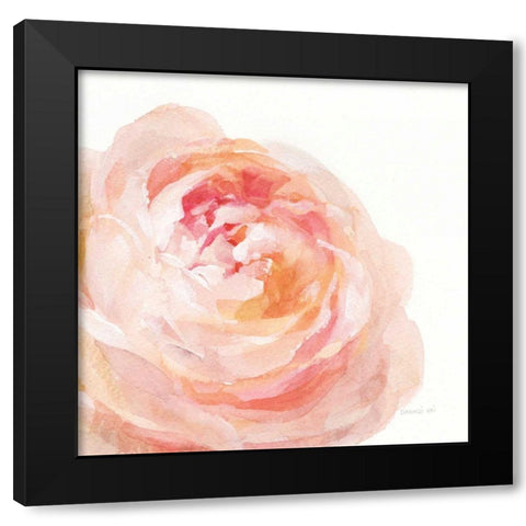 Garden Rose on White Crop Black Modern Wood Framed Art Print by Nai, Danhui