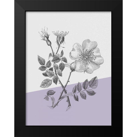 Conversations on Botany IV Color Block Black Modern Wood Framed Art Print by Wild Apple Portfolio