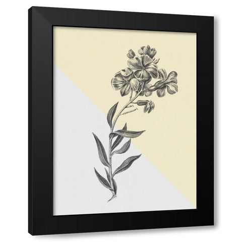 Conversations on Botany VI Color Block Black Modern Wood Framed Art Print by Wild Apple Portfolio