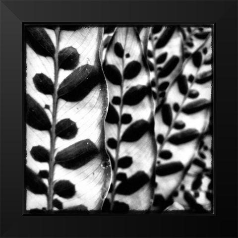 Leaves and Vines Black Modern Wood Framed Art Print by Aledanda