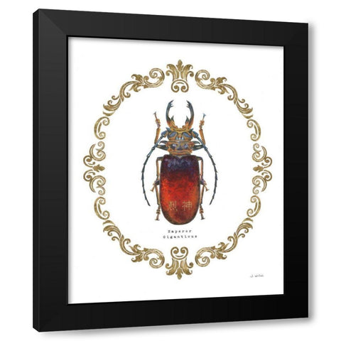 Adorning Coleoptera I Black Modern Wood Framed Art Print with Double Matting by Wiens, James