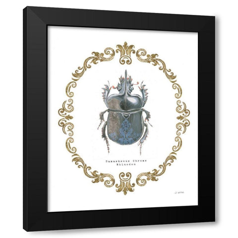 Adorning Coleoptera IV Black Modern Wood Framed Art Print with Double Matting by Wiens, James