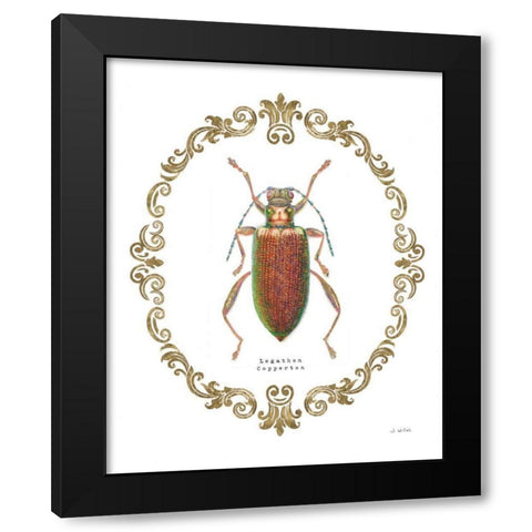 Adorning Coleoptera VI Black Modern Wood Framed Art Print with Double Matting by Wiens, James