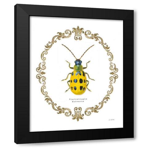 Adorning Coleoptera VII Black Modern Wood Framed Art Print with Double Matting by Wiens, James