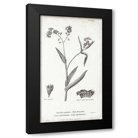 Conversations on Botany I Black Modern Wood Framed Art Print by Wild Apple Portfolio