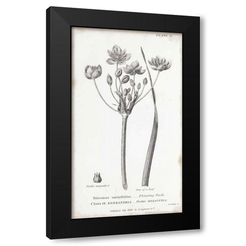 Conversations on Botany II Black Modern Wood Framed Art Print with Double Matting by Wild Apple Portfolio