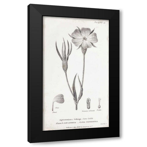 Conversations on Botany III Black Modern Wood Framed Art Print with Double Matting by Wild Apple Portfolio