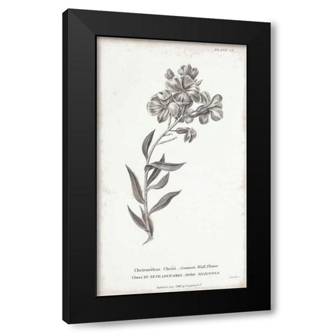 Conversations on Botany VI Black Modern Wood Framed Art Print with Double Matting by Wild Apple Portfolio