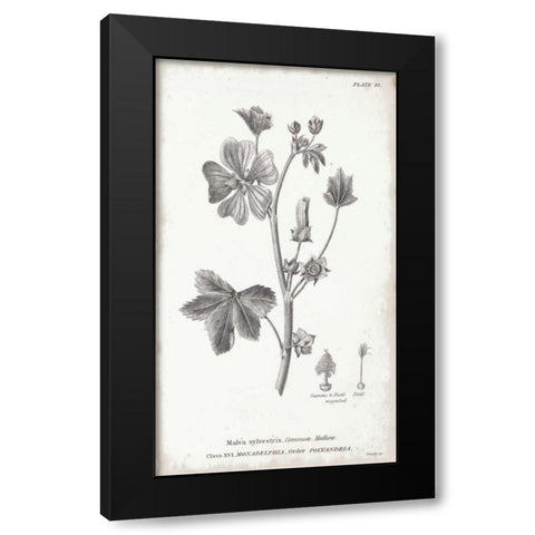 Conversations on Botany VII Black Modern Wood Framed Art Print with Double Matting by Wild Apple Portfolio