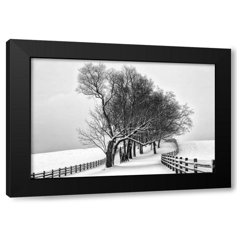 Along the Lane I Black Modern Wood Framed Art Print by Aledanda