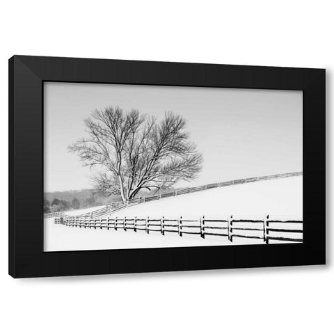 Along the Lane II Black Modern Wood Framed Art Print by Aledanda