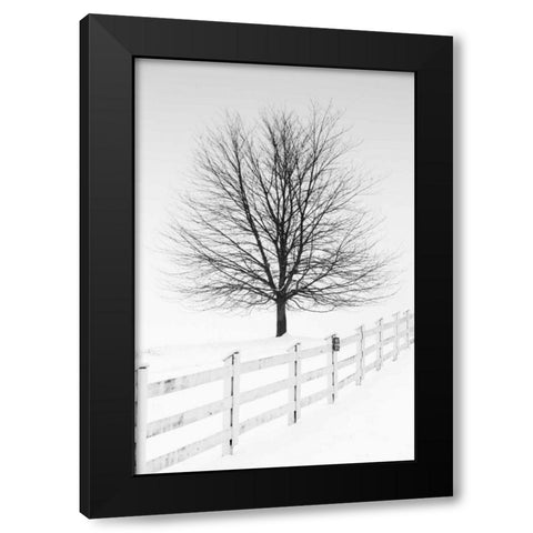 Along the Lane III Black Modern Wood Framed Art Print by Aledanda