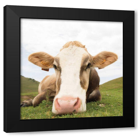 Close Up I Crop Black Modern Wood Framed Art Print with Double Matting by Aledanda