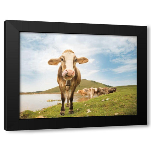 Close Up II Black Modern Wood Framed Art Print with Double Matting by Aledanda