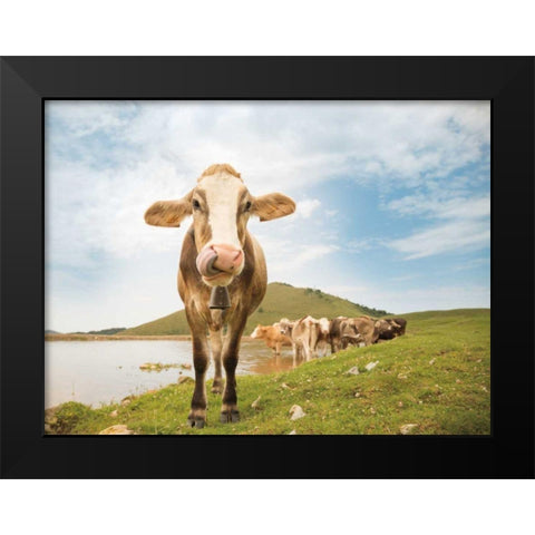 Close Up II Black Modern Wood Framed Art Print by Aledanda