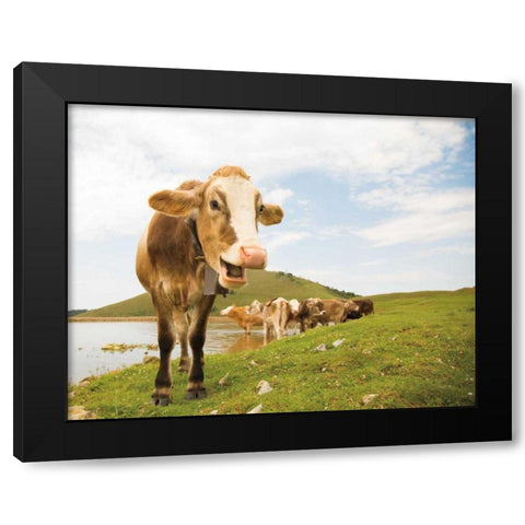 Close Up III Black Modern Wood Framed Art Print by Aledanda