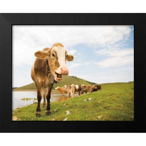 Close Up III Black Modern Wood Framed Art Print by Aledanda