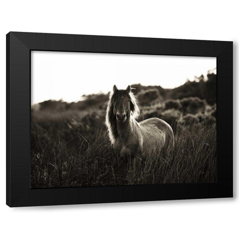 Evening Glow Crop Black Modern Wood Framed Art Print by Aledanda